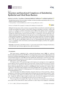 Structure and Junctional Complexes of Endothelial, Epithelial and Glial Brain Barriers