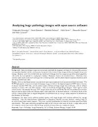 Analyzing Huge Pathology Images with Open Source Software