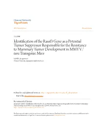 Identification of the Rassf3 Gene As a Potential Tumor Suppressor