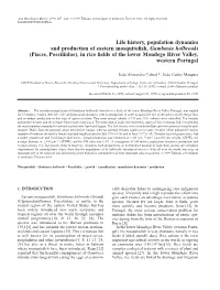 Life History, Population Dynamics and Production of Eastern Mosquitofish