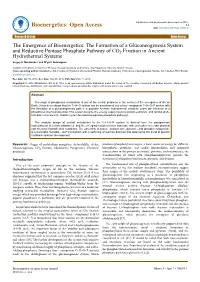 The Formation of a Gluconeogenesis System and Reductive Pentose Phosphate Pathway of CO2 Fixation in Ancient Hydrothermal Systems Sergey A