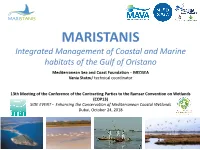 The PDF Presentation of MEDSEA Foundation About The
