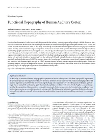 Functional Topography of Human Auditory Cortex