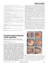 Involvement Ofnotchanddeltagenes in Spider Segmentation