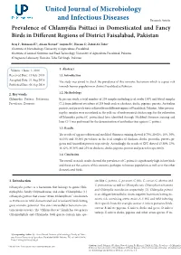 Prevalence of Chlamydia Psittaci in Domesticated and Fancy Birds in Different Regions of District Faisalabad, Pakistan