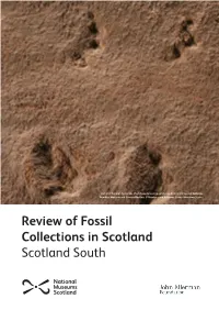 Review of Fossil Collections in Scotland Scotland South Scotland South