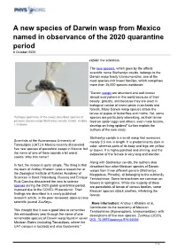 A New Species of Darwin Wasp from Mexico Named in Observance of the 2020 Quarantine Period 8 October 2020