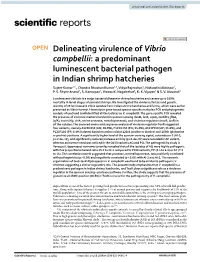 Delineating Virulence of Vibrio Campbellii