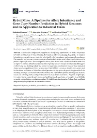 Hybridmine: a Pipeline for Allele Inheritance and Gene Copy Number Prediction in Hybrid Genomes and Its Application to Industrial Yeasts