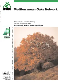 Mediterranean Oaks Networks