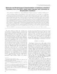 Molecular and Morphological Characterization of Xiphinema Chambersi Population from Live Oak in Jekyll Island, Georgia, with Comments on Morphometric Variations