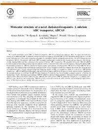 Molecular Structure of a Novel Cholesterol-Responsive a Subclass ABC Transporter, ABCA9