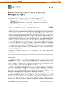 Peach Brown Rot: Still in Search of an Ideal Management Option