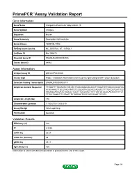 Primepcr™Assay Validation Report