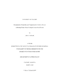 UNIVERSITY of CALGARY Determinants of Group Size and Composition for Colobus Vellerosus at Boabeng-Fiema, Ghana