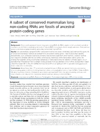 A Subset of Conserved Mammalian Long Non-Coding Rnas Are Fossils Of