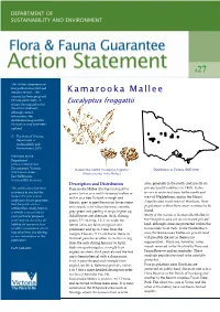 Kamarooka Mallee Version Has Been Prepared for Web Publication