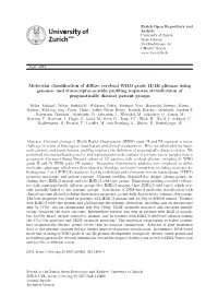 Molecular Classification of Diffuse Cerebral WHO Grade II/III Gliomas