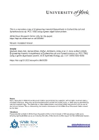 Engineering Mannitol Biosynthesis in Escherichia Coli and Synechococcus Sp