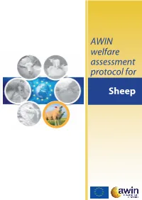 Sheep AWIN Welfare Assessment Protocol