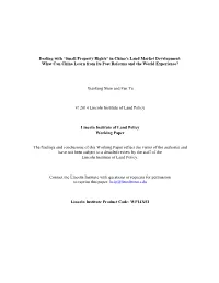 “Small Property Rights” in China's Land Market Development