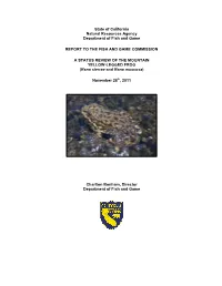 A STATUS REVIEW of the MOUNTAIN YELLOW-LEGGED FROG (Rana Sierrae and Rana Muscosa)