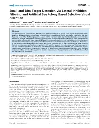 Small and Dim Target Detection Via Lateral Inhibition Filtering and Artificial Bee Colony Based Selective Visual Attention