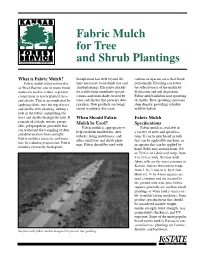 Fabric Mulch for Tree and Shrub Plantings, Kansas State University, August 2004