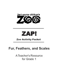 Fur, Feathers, and Scales