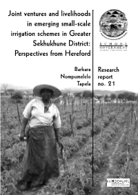 Joint Ventures and Livelihoods in Emerging Small-Scale Irrigation Schemes in Greater