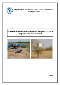 La Transhumance Transfrontalière En Afrique De L'ouest