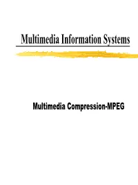 Multimedia Information Systems