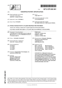 Rnase-H-Based Assays Utilizing Modified Rna