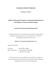 01 First Paper & Dedication