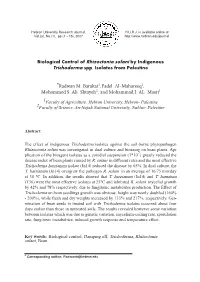 Biological Control of Rhizoctonia Solani by Indigenous Trichoderma Spp