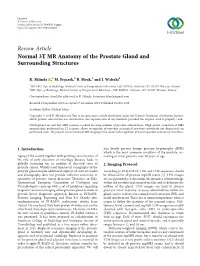 Normal 3T MR Anatomy of the Prostate Gland and Surrounding Structures