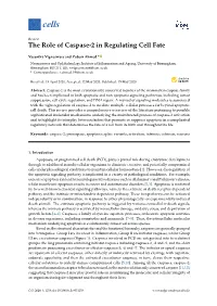 The Role of Caspase-2 in Regulating Cell Fate