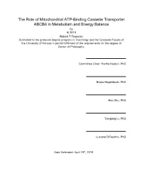 The Role of Mitochondrial ATP-Binding Cassette Transporter
