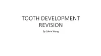 TOOTH DEVELOPMENT REVISION by Calvin Wong BUD STAGE CAP STAGE BELL STAGE