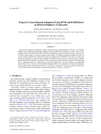 Tropical Cyclone Intensity Estimation Using RVM and DADI Based on Infrared Brightness Temperature