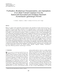 Purification, Biochemical Characterization, and Implications
