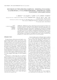 REVISION of the SPECIES Complex 'Neritina Pulligera'