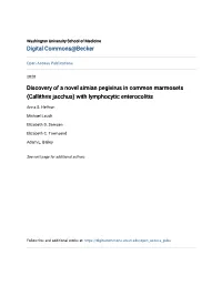 Callithrix Jacchus) with Lymphocytic Enterocolitis