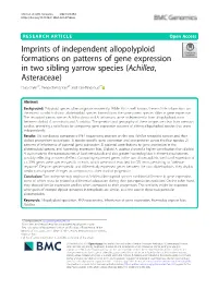Imprints of Independent Allopolyploid Formations On