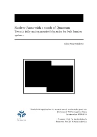 Nuclear Pasta with a Touch of Quantum Towards Fully Antisymmetrised Dynamics for Bulk Fermion Systems