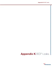 Appendix K BOP Leaks