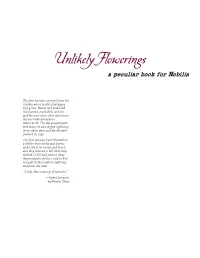 Nobilis: a Game of Sovereign Powers� Unlikely Flowerings