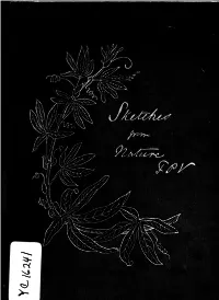 1877 Verney A941.Pdf