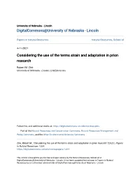 Considering the Use of the Terms Strain and Adaptation in Prion Research
