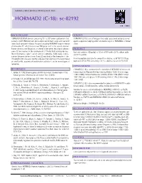 HORMAD2 (C-18): Sc-82192
